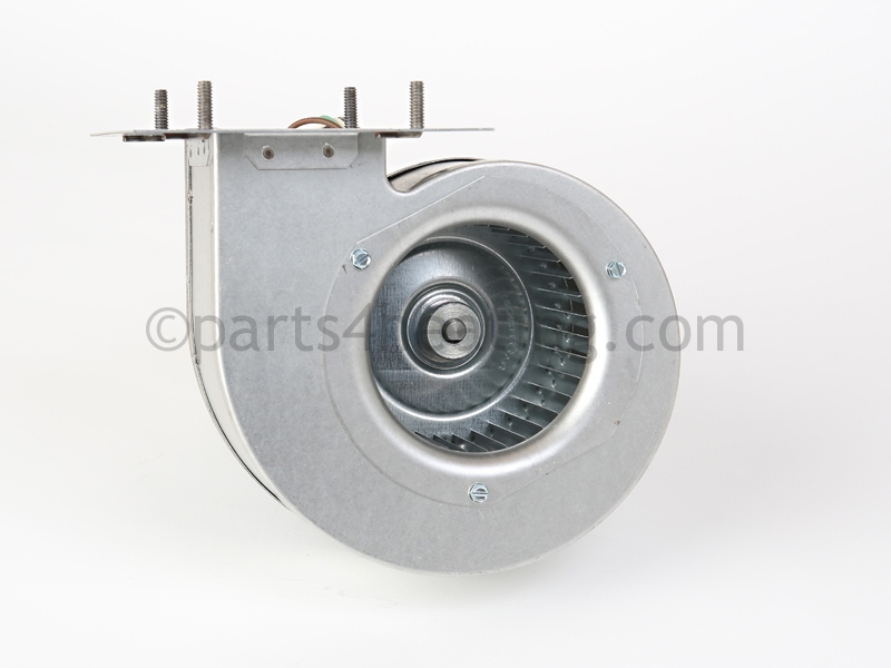 FAN2009_2.jpg