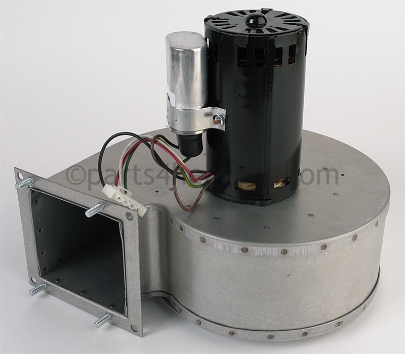 FAN2010_2.jpg