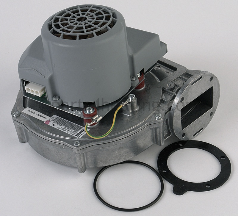FAN3035_2.jpg