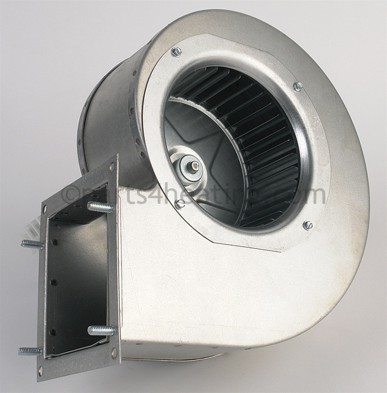 FAN2010_3.jpg