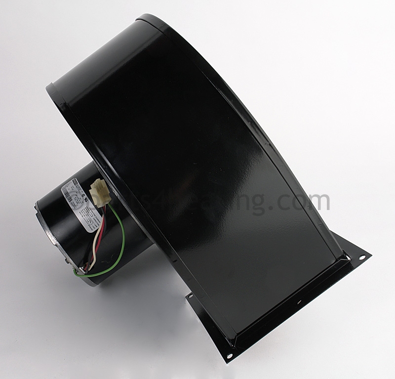 FAN2011_3.jpg