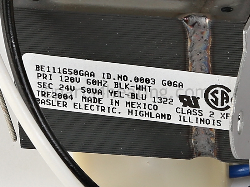 TRF2004_4.jpg