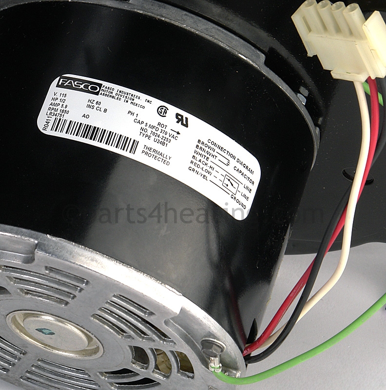 FAN2011_4.jpg