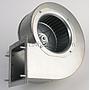 FAN2010_3.jpg