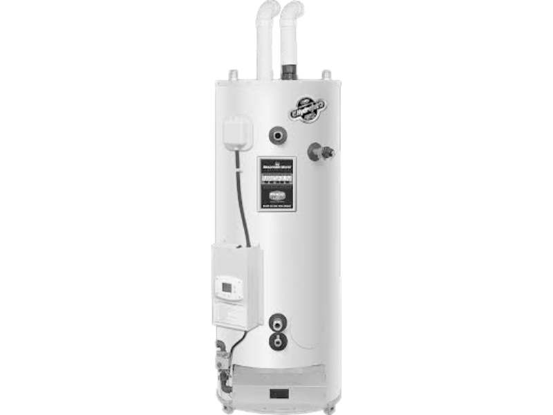 P21151348