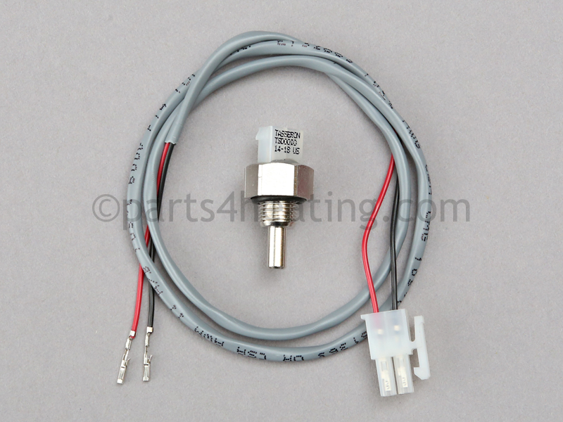 Thermister 1/8 in. BSP