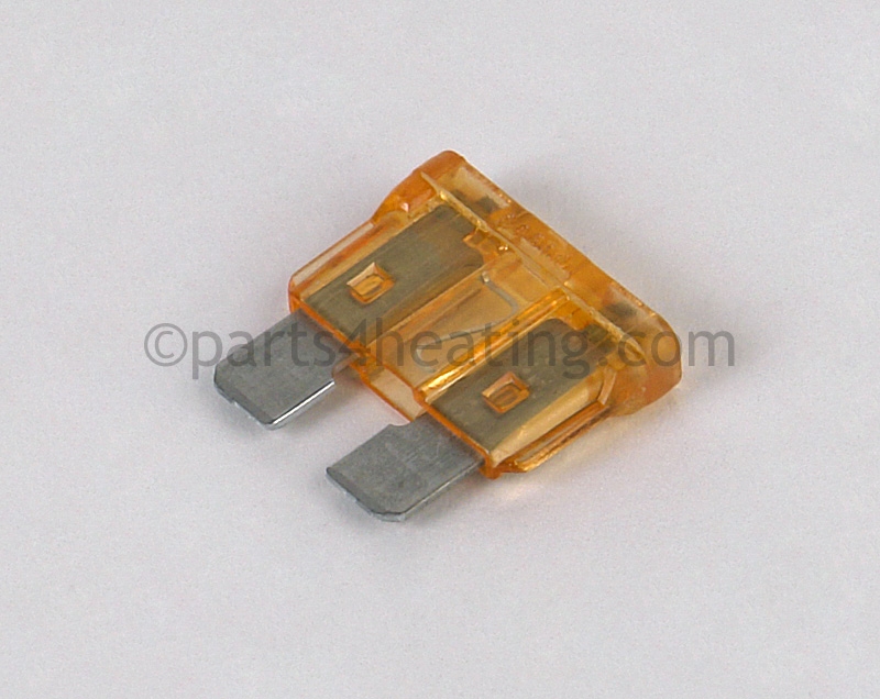 Fuse 5 AMP