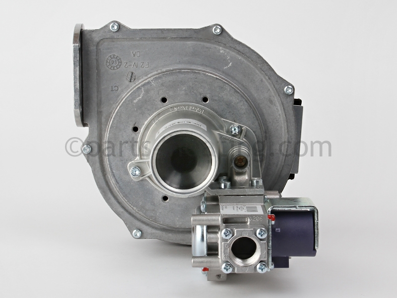 Blower and Gas Valve Assembly (Nat).