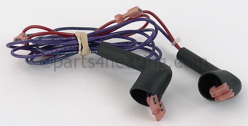 Rear Wire Harness